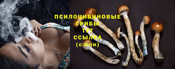 прущий лед Алексеевка