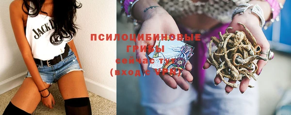 прущие крисы Алзамай